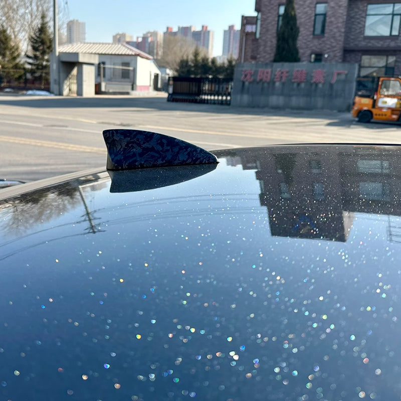 TPU PPF Pearl Sparkle Black TPU Carwrap