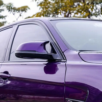 TPU Venice Purple Paint Protective Film