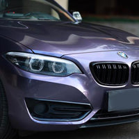 TPU Gray Violet Purple Car Vinyl Wrap Paint Protection Film