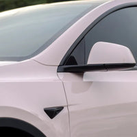 TPU Shell Pink Car PPF