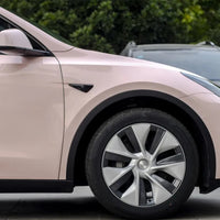 TPU Shell Pink Car PPF