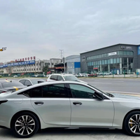 Color TPU PPF Silver Fox Grey Car Wrap